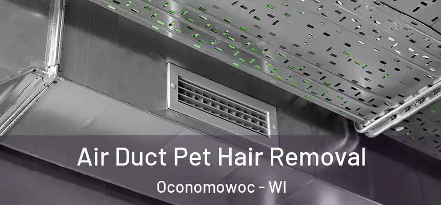 Air Duct Pet Hair Removal Oconomowoc - WI