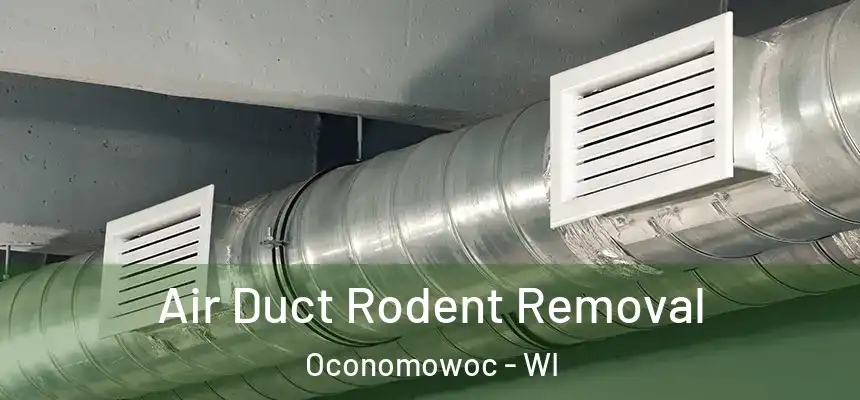  Air Duct Rodent Removal Oconomowoc - WI
