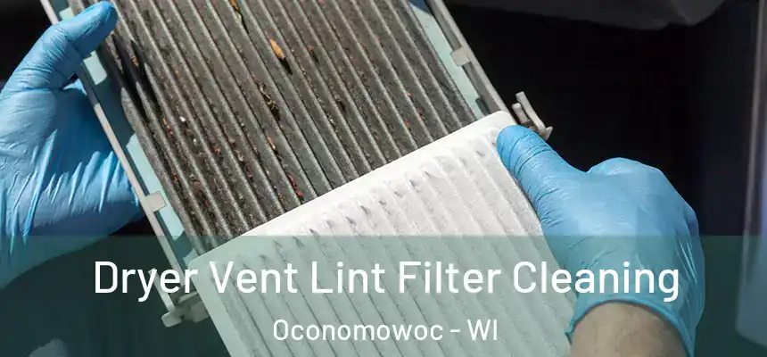 Dryer Vent Lint Filter Cleaning Oconomowoc - WI