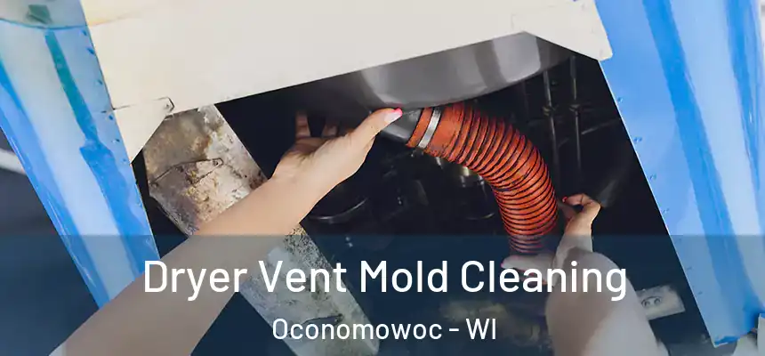Dryer Vent Mold Cleaning Oconomowoc - WI