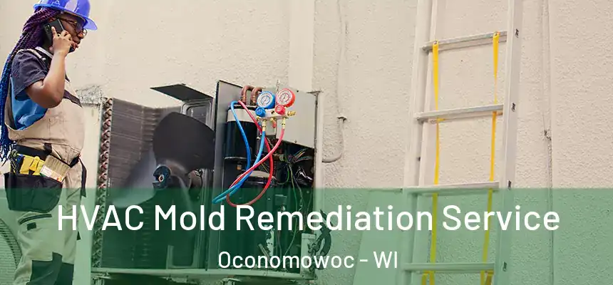  HVAC Mold Remediation Service Oconomowoc - WI