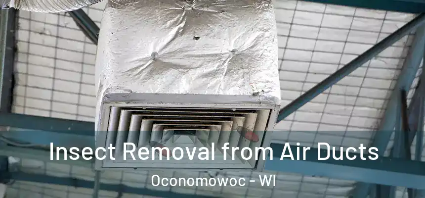  Insect Removal from Air Ducts Oconomowoc - WI