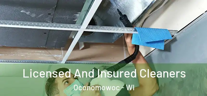 Licensed And Insured Cleaners Oconomowoc - WI