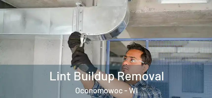 Lint Buildup Removal Oconomowoc - WI