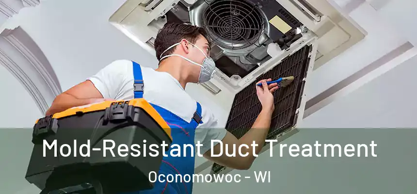  Mold-Resistant Duct Treatment Oconomowoc - WI