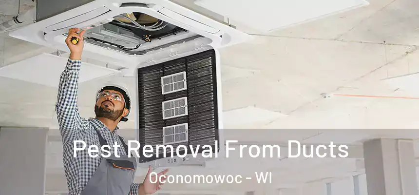 Pest Removal From Ducts Oconomowoc - WI