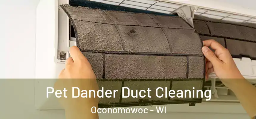 Pet Dander Duct Cleaning Oconomowoc - WI