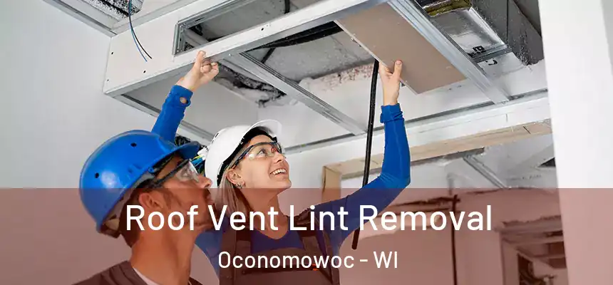  Roof Vent Lint Removal Oconomowoc - WI