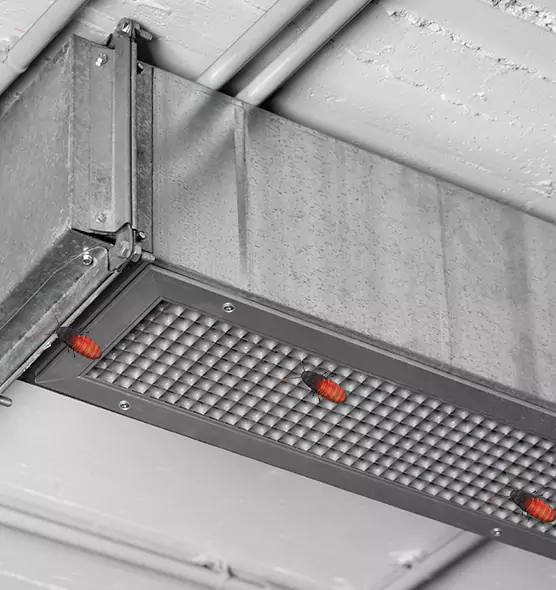 Affordable Insect Removal from Air Ducts in Oconomowoc, WI